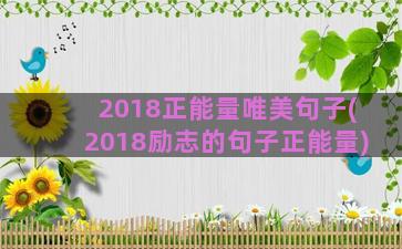 2018正能量唯美句子(2018励志的句子正能量)