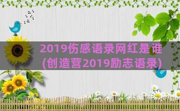 2019伤感语录网红是谁(创造营2019励志语录)