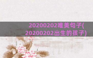 20200202唯美句子(20200202出生的孩子)