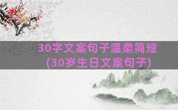 30字文案句子温柔简短(30岁生日文案句子)