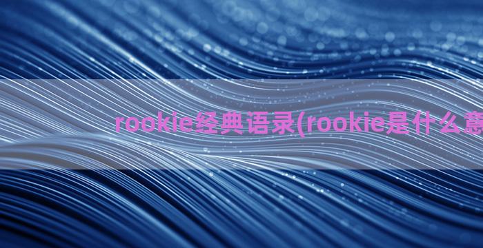 rookie经典语录(rookie是什么意思)