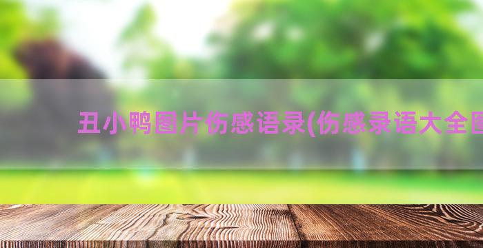 丑小鸭图片伤感语录(伤感录语大全图片)