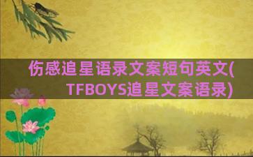 伤感追星语录文案短句英文(TFBOYS追星文案语录)