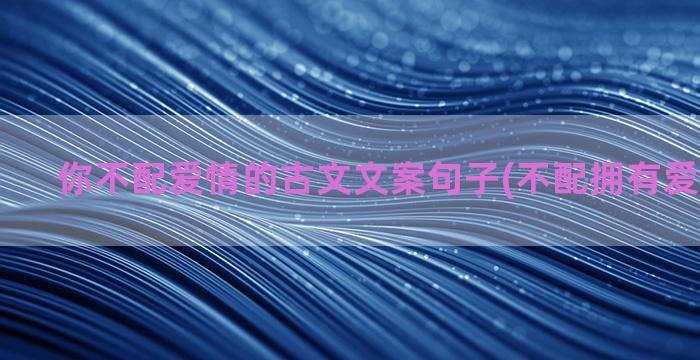 你不配爱情的古文文案句子(不配拥有爱情的古文)