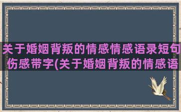 关于婚姻背叛的情感情感语录短句伤感带字(关于婚姻背叛的情感语录)