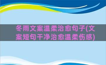 冬雨文案温柔治愈句子(文案短句干净治愈温柔伤感)