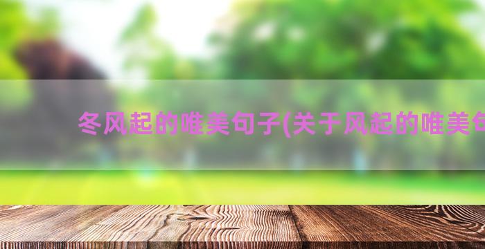 冬风起的唯美句子(关于风起的唯美句子)