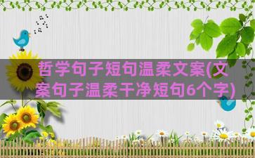 哲学句子短句温柔文案(文案句子温柔干净短句6个字)