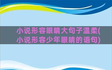 小说形容眼睛大句子温柔(小说形容少年眼睛的语句)