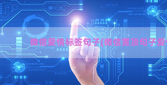 微信爱情标签句子(微信置顶句子爱情)