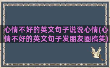 心情不好的英文句子说说心情(心情不好的英文句子发朋友圈搞笑)