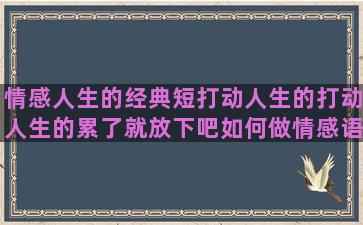 情感人生的经典短打动人生的打动人生的累了就放下吧如何做情感语录封面图片(经典情感语录短视频)