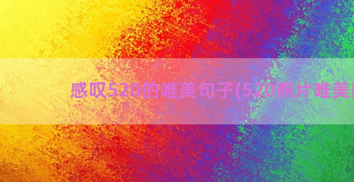 感叹520的唯美句子(520照片唯美图片)