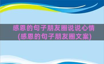 感恩的句子朋友圈说说心情(感恩的句子朋友圈文案)