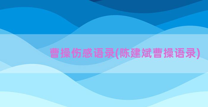 曹操伤感语录(陈建斌曹操语录)