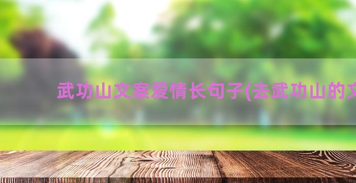 武功山文案爱情长句子(去武功山的文案)