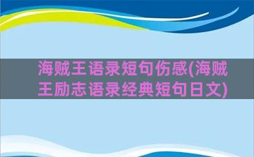 海贼王语录短句伤感(海贼王励志语录经典短句日文)