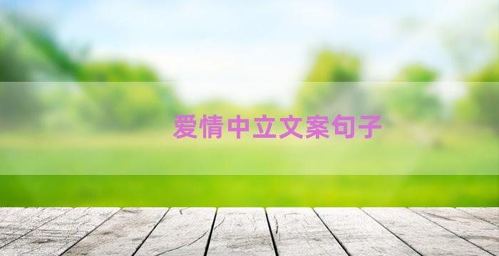 爱情中立文案句子