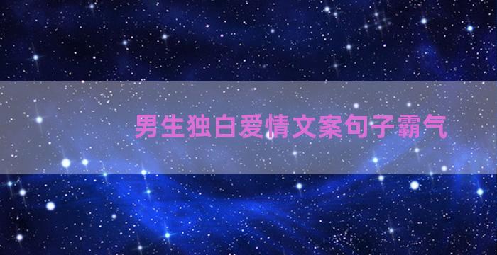 男生独白爱情文案句子霸气