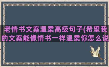 老情书文案温柔高级句子(希望我的文案能像情书一样温柔你怎么说)