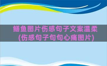 鳝鱼图片伤感句子文案温柔(伤感句子句句心痛图片)